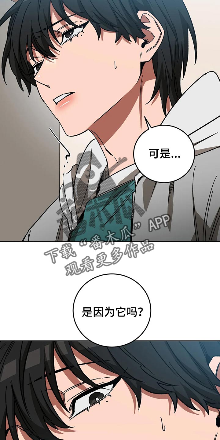 第117章：我有个想法15