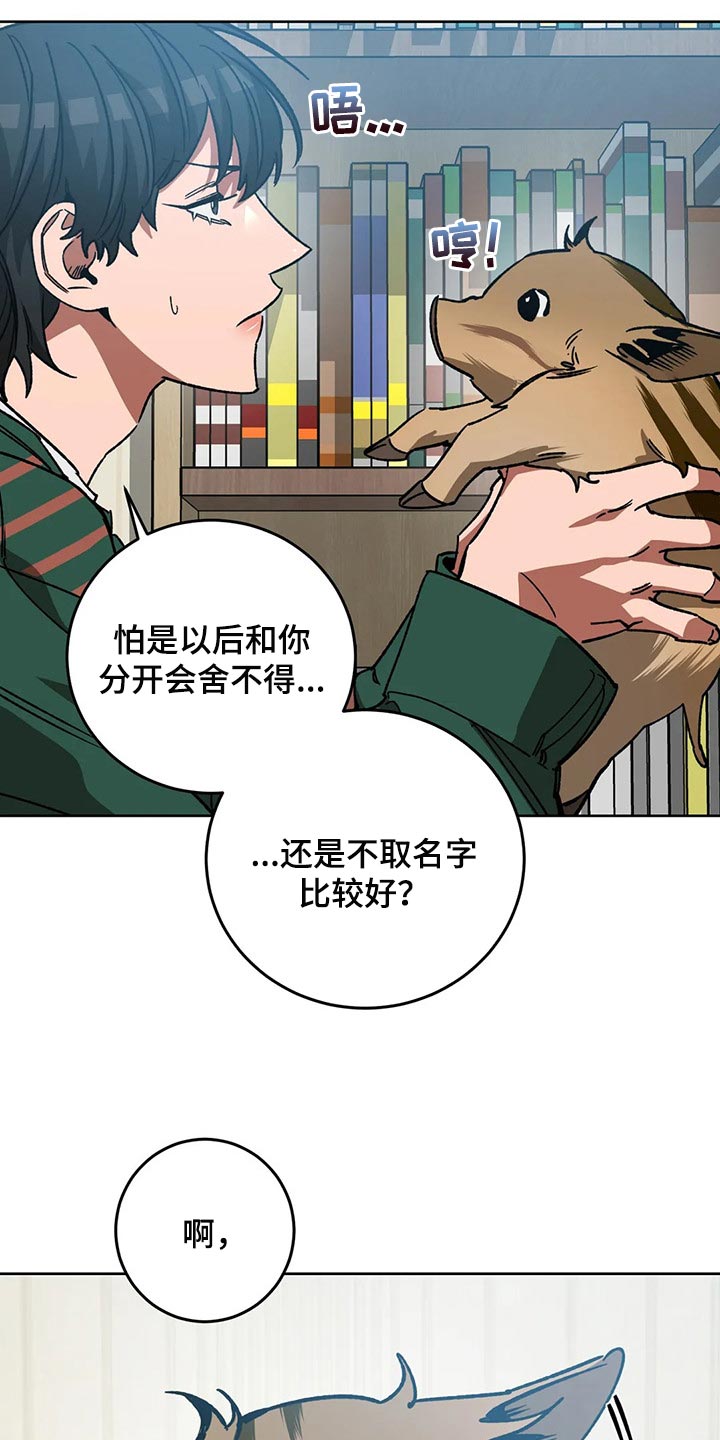 第109章：视线5