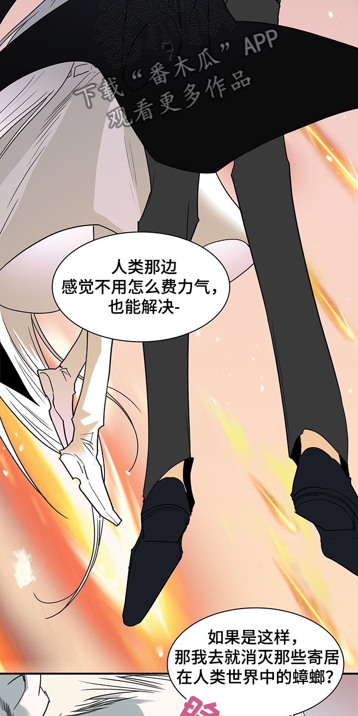 第235章：天使与恶魔的合作8