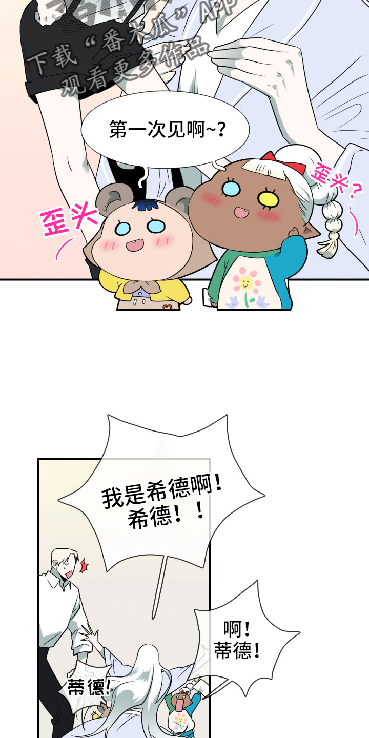 第291章：【番外】粉丝团+16