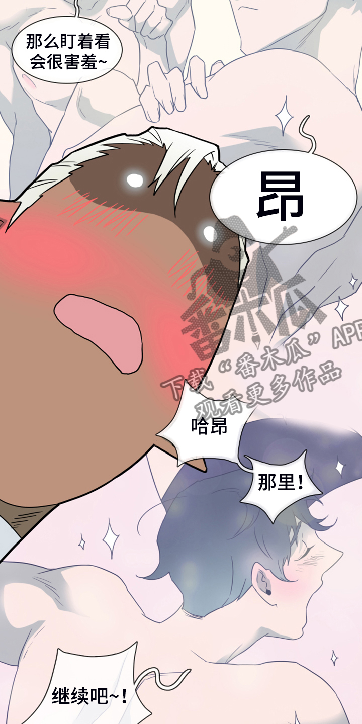 第252章：【番外】期待的洞房13