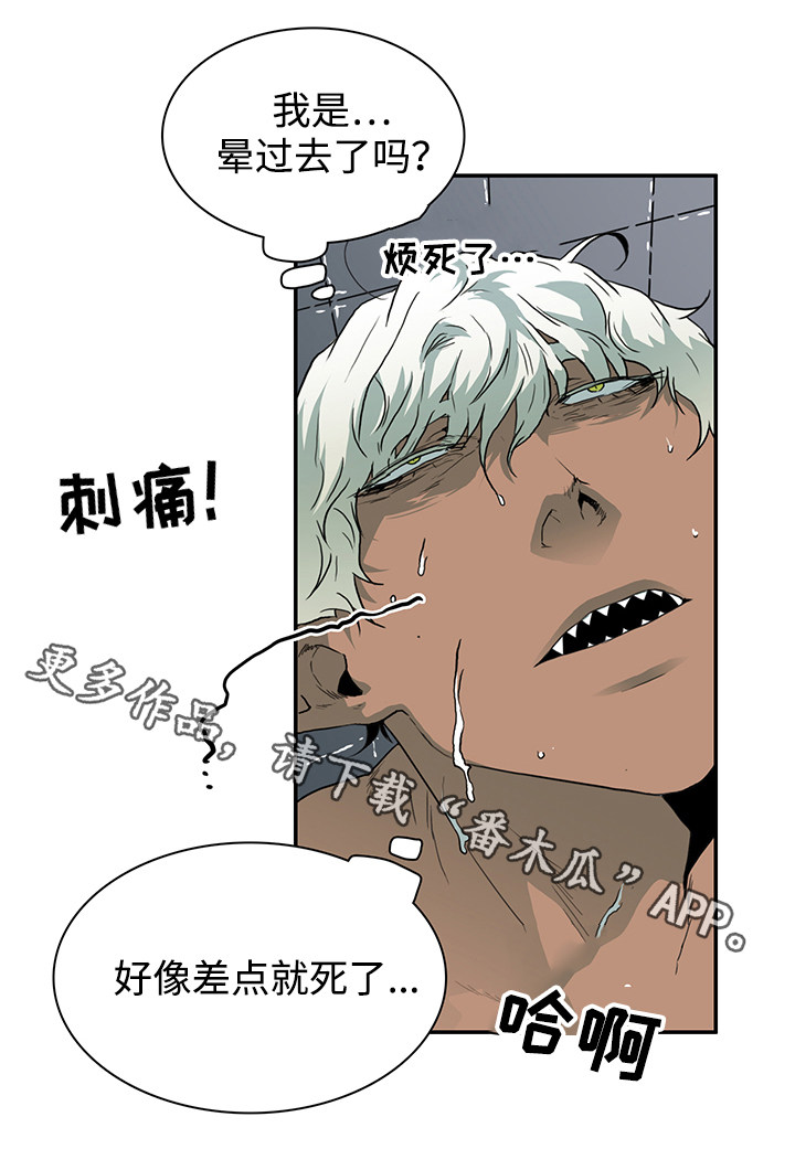 第44章：苏醒1