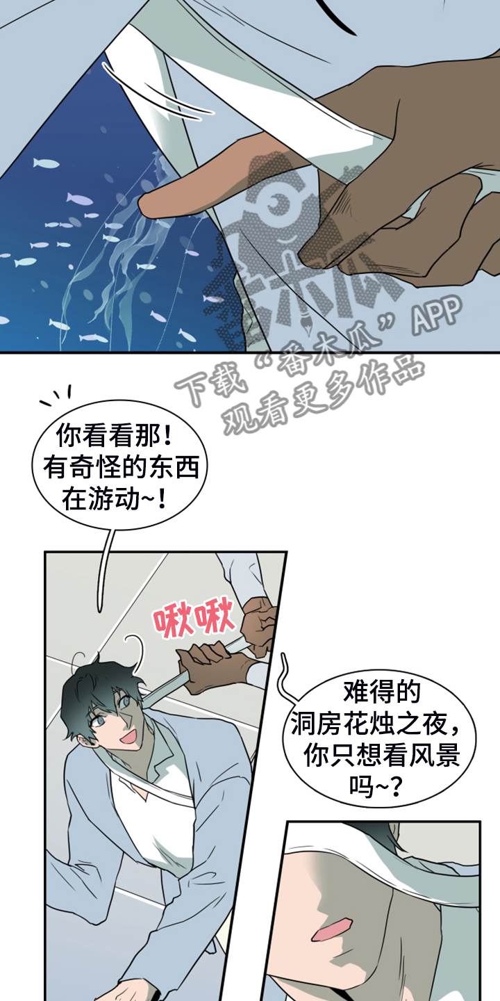 第252章：【番外】期待的洞房18