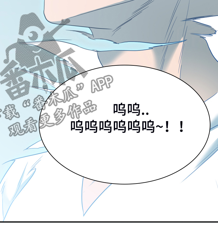 第247章：不要忘记我20