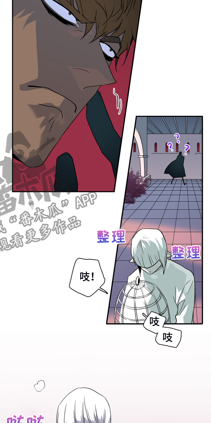 第248章：神性诞生33
