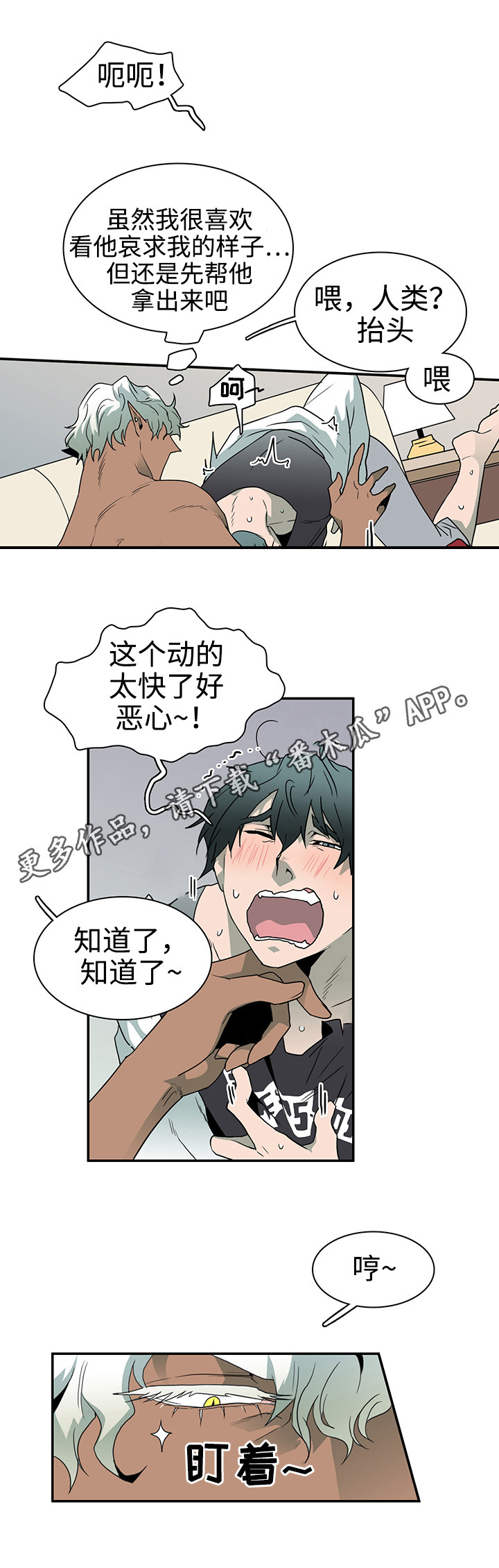 第31章：护身符6