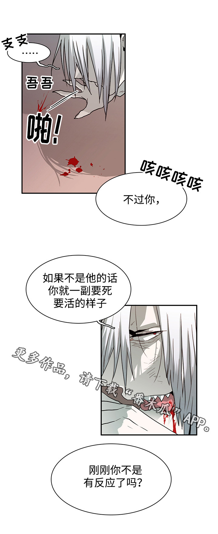 第56章：平静4