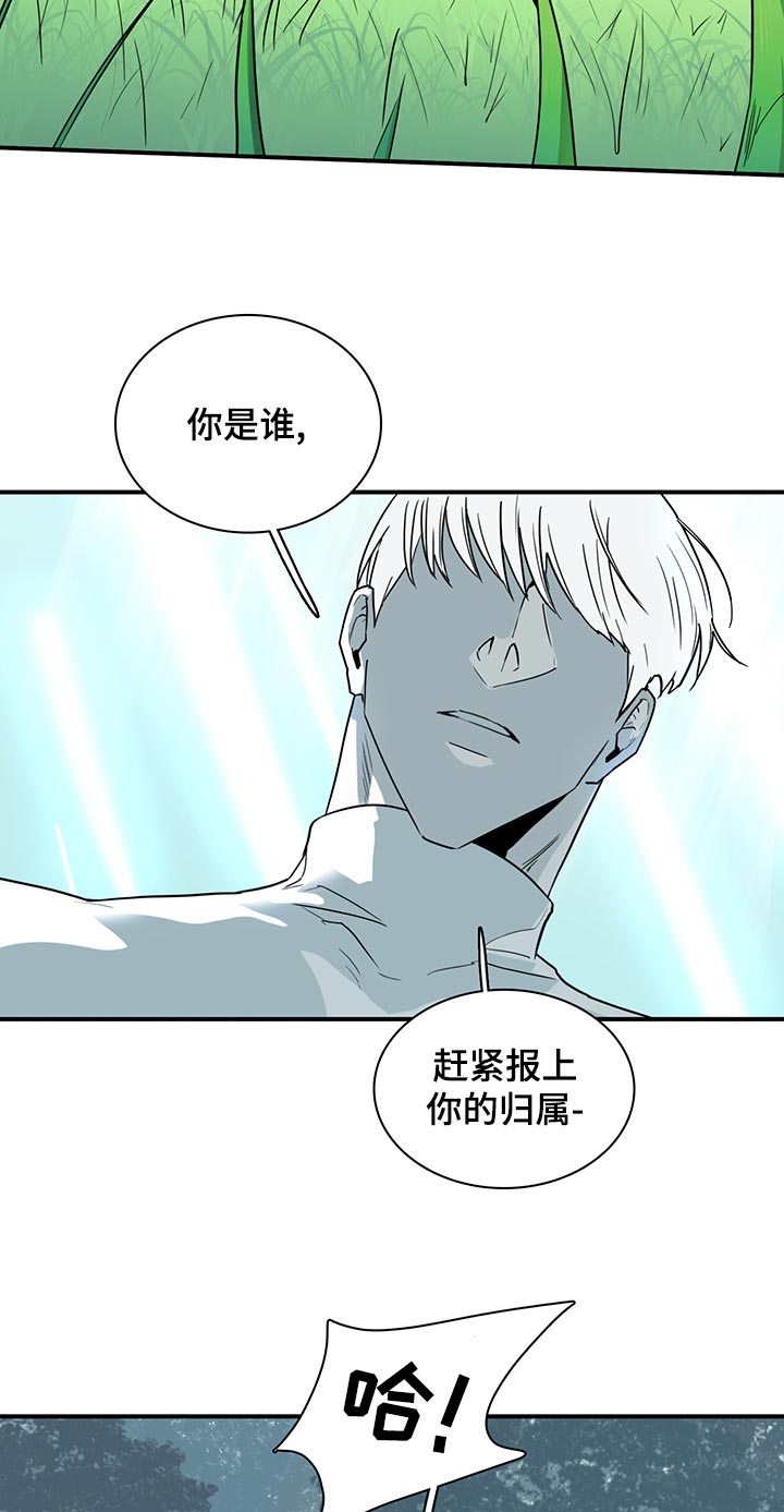 第173章：互通姓名4