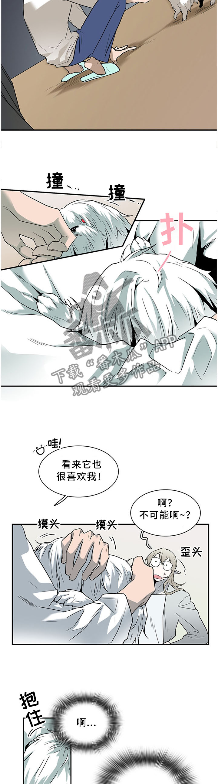 第120章：温暖的感觉6