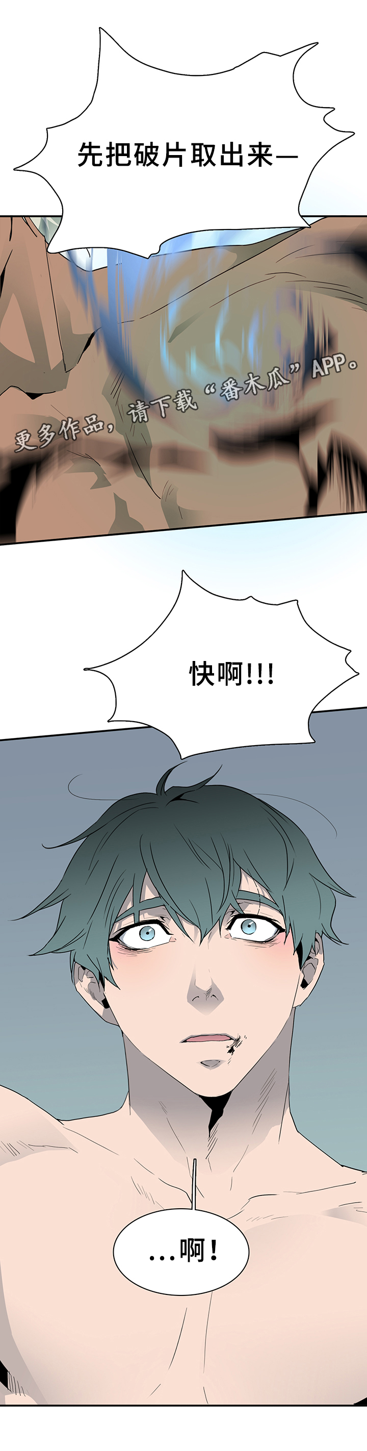 第73章：进攻12
