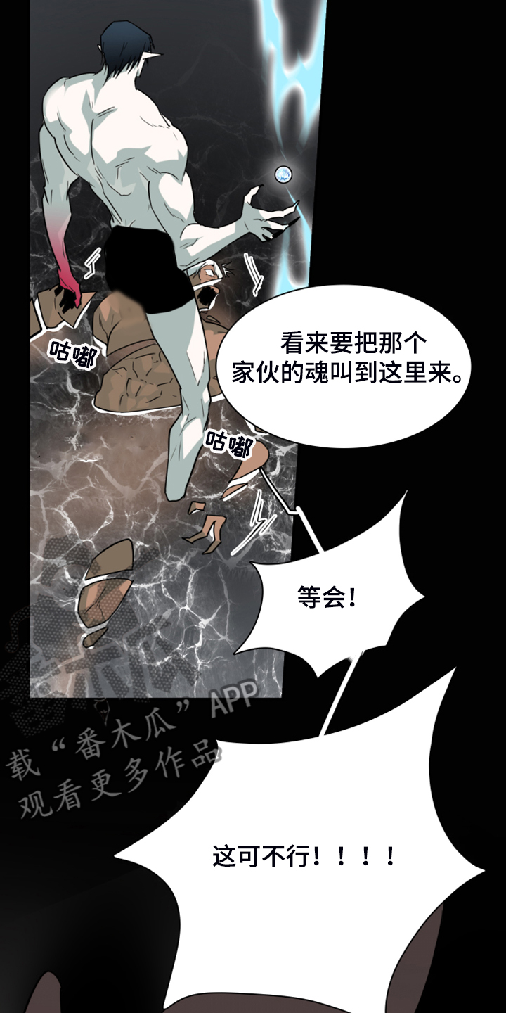 第244章：虚化的无12