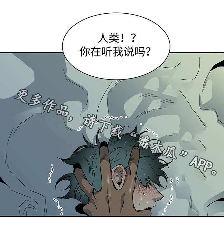 第45章：回答问题8