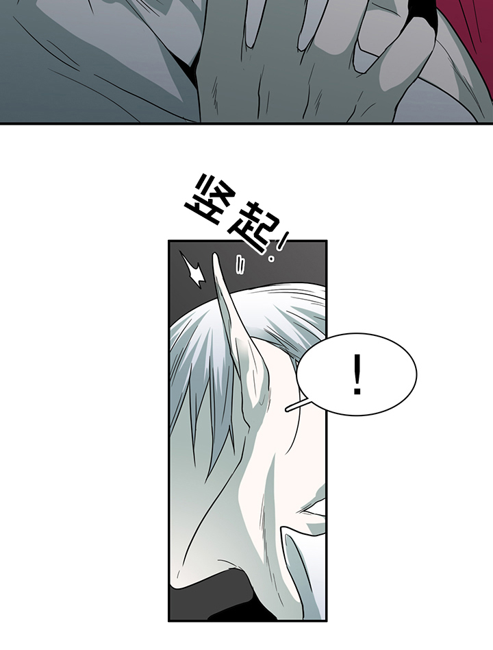 第92章：神秘人14