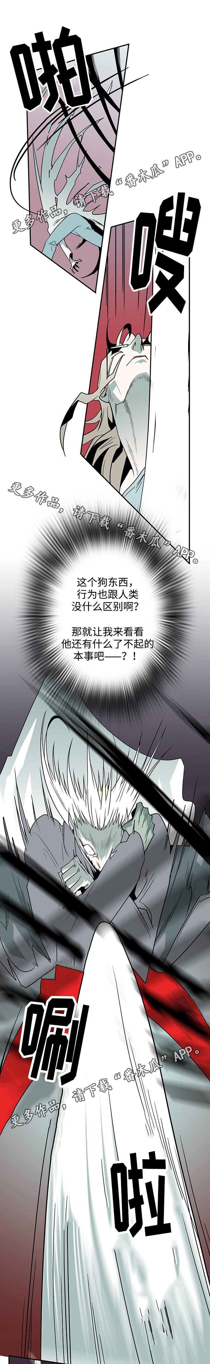 第33章：嘲讽7