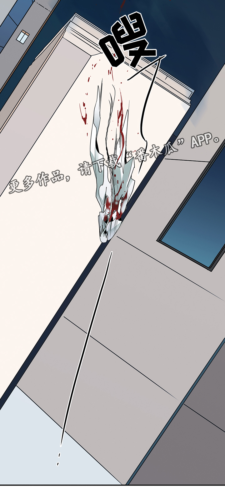 第85章：选择3