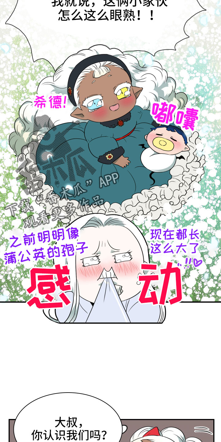 第291章：【番外】粉丝团+14