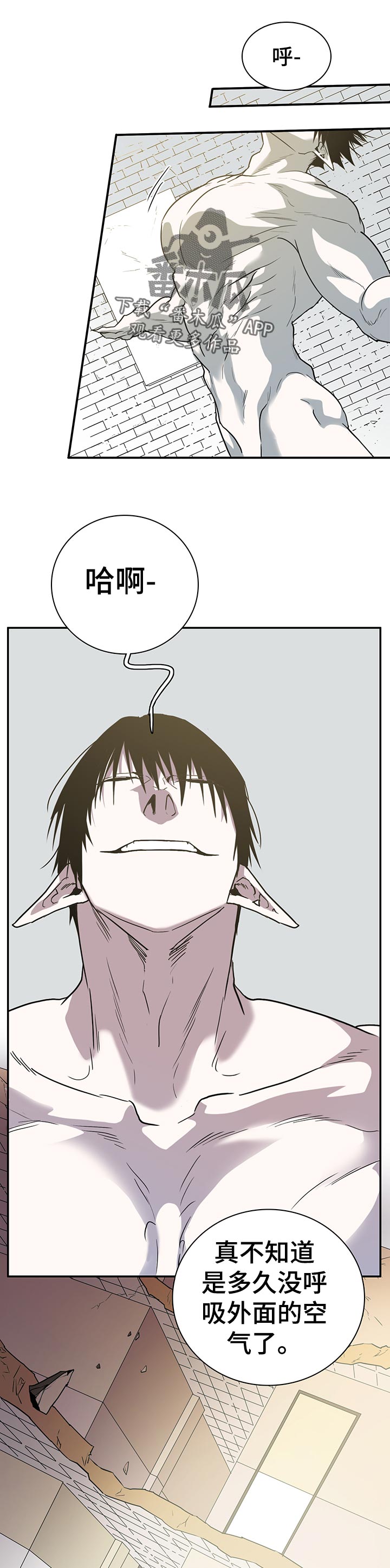第161章：外面的空气0