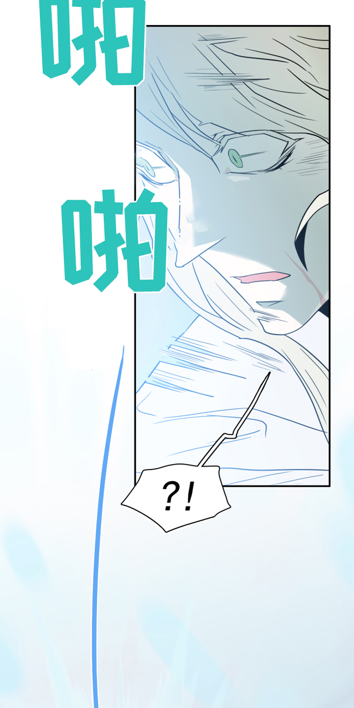 第244章：虚化的无28