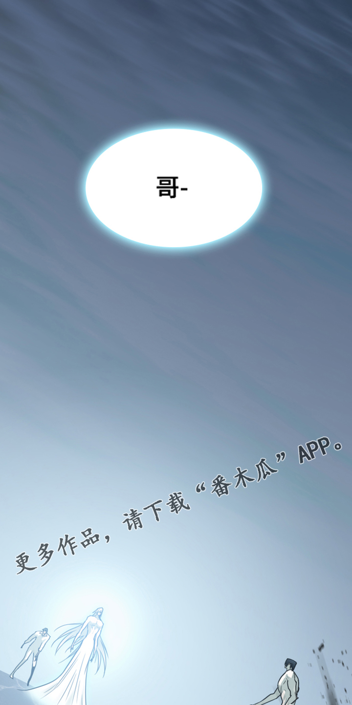 第246章：回归于无0