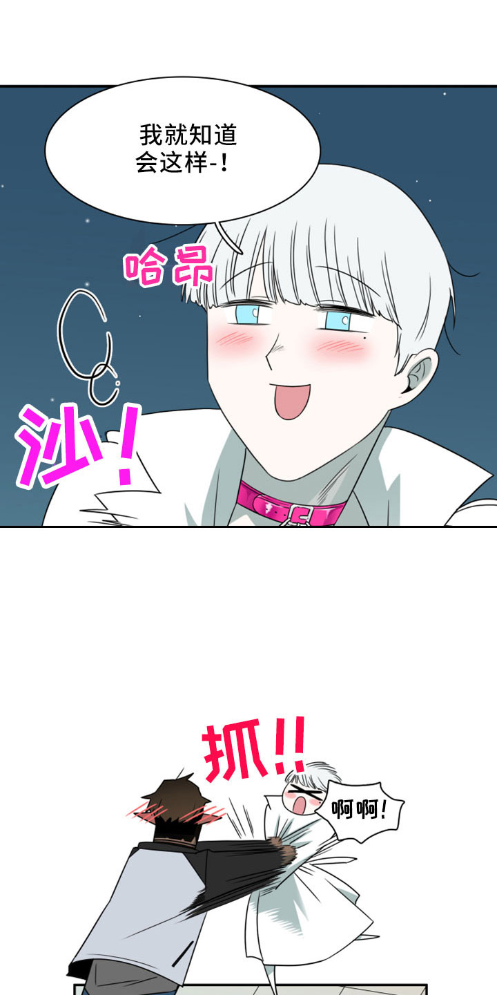 第277章：【番外】开始了 约会24