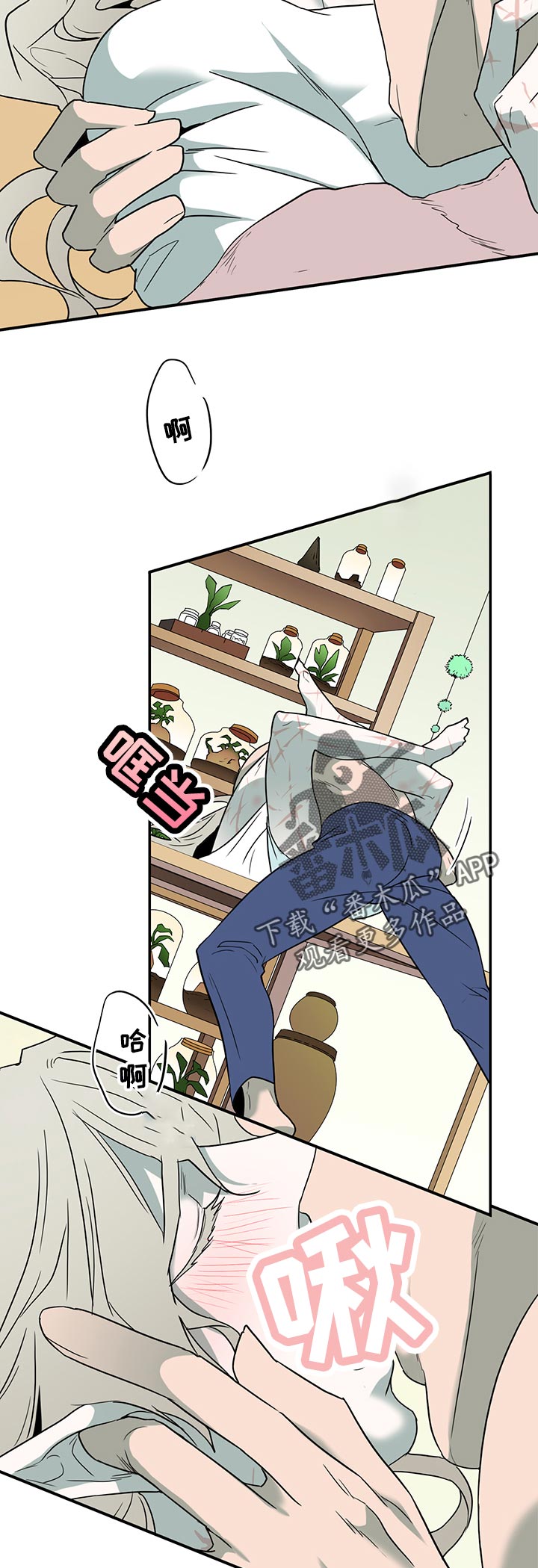 第169章：停下1