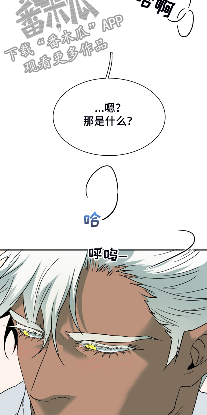 第252章：【番外】期待的洞房30