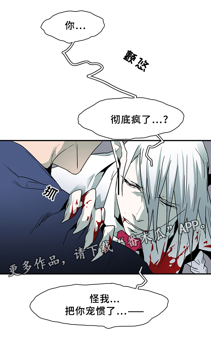 第87章：行踪1