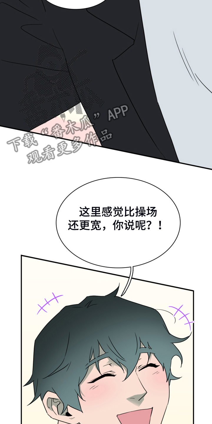 第252章：【番外】期待的洞房5