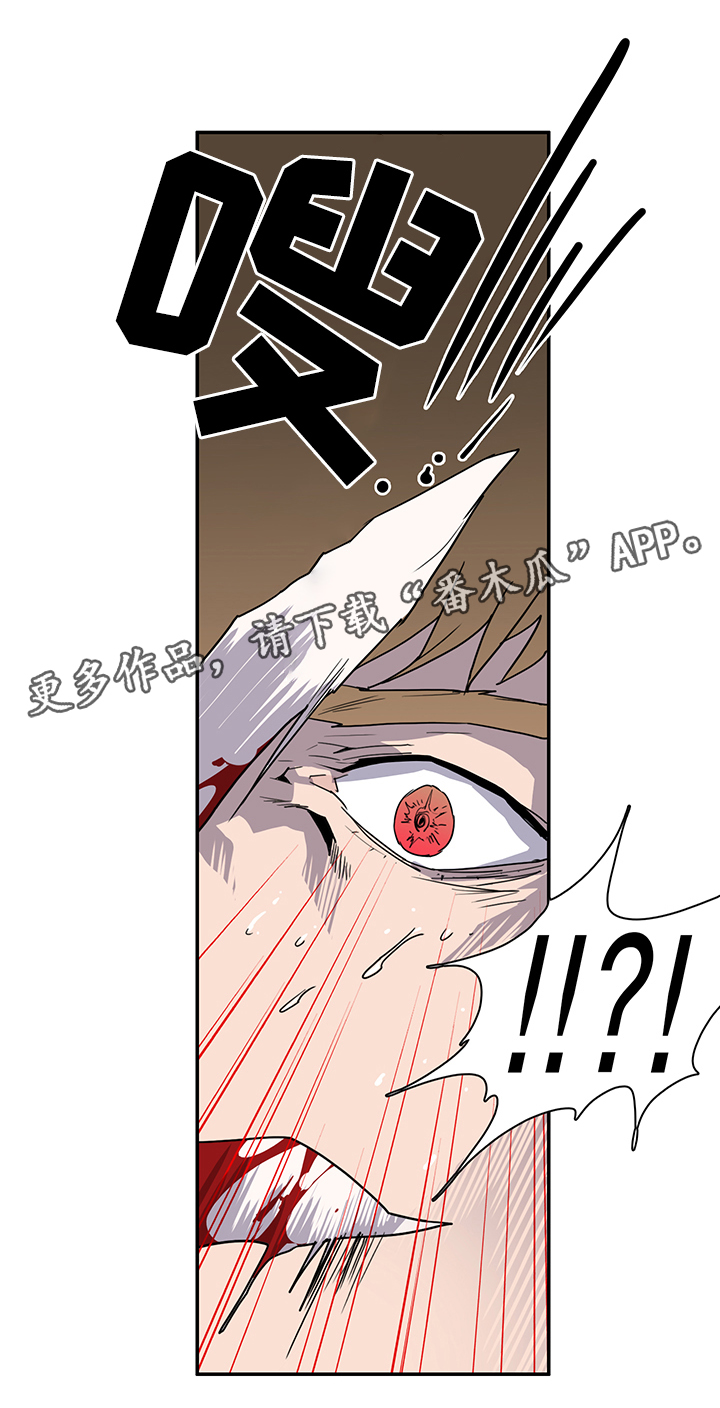 第87章：行踪17