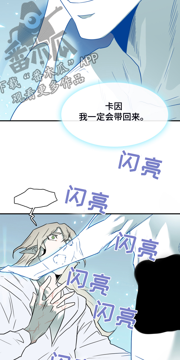 第245章：是真的吗4
