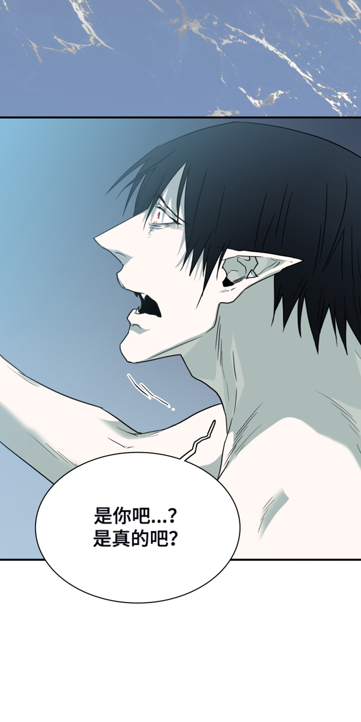 第246章：回归于无2