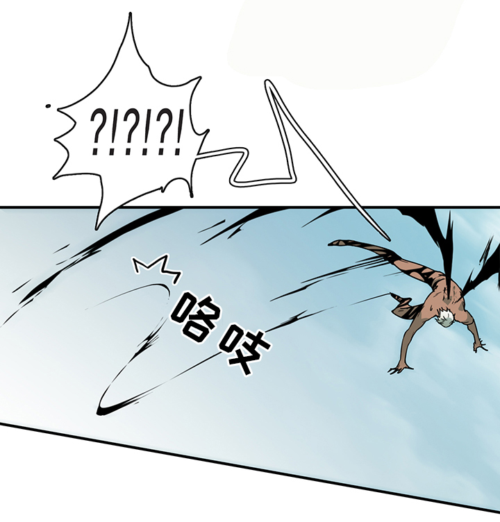 第95章：找到31