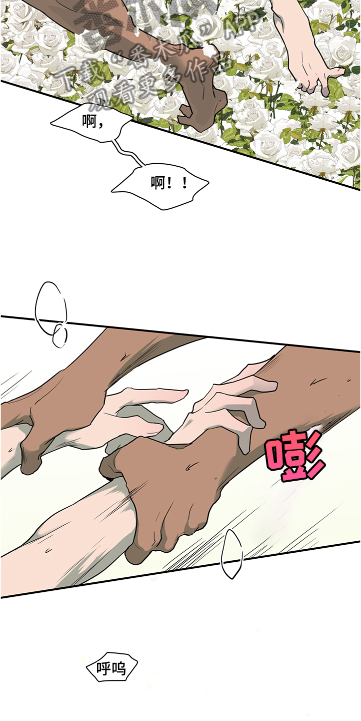 第231章：重回身体2