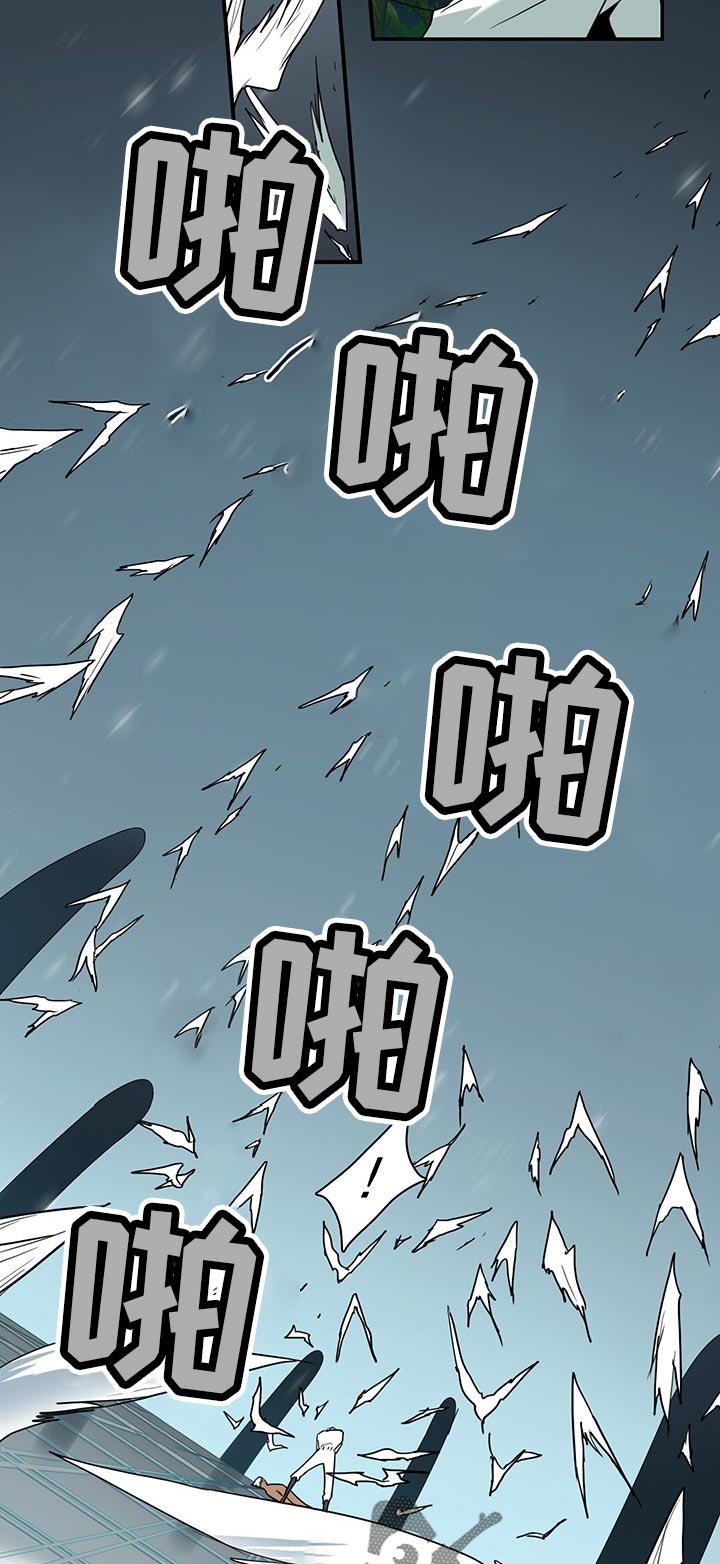 第164章：我回来了1
