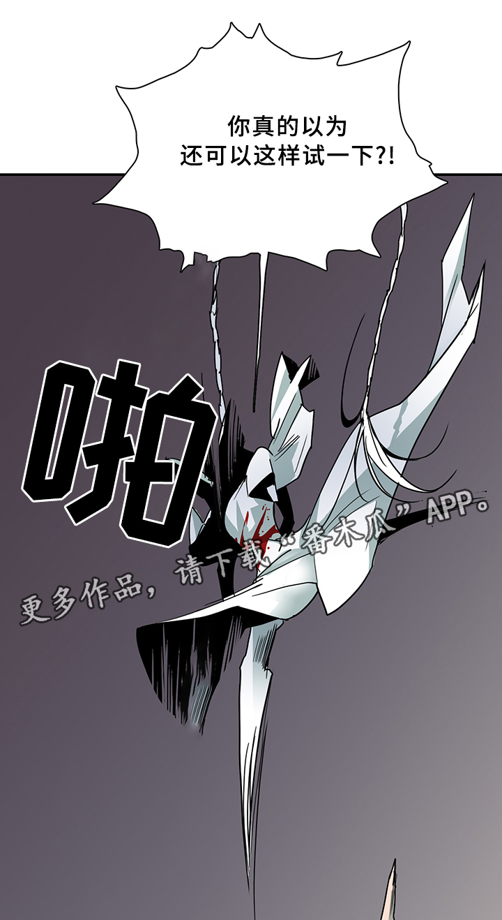 第87章：行踪2
