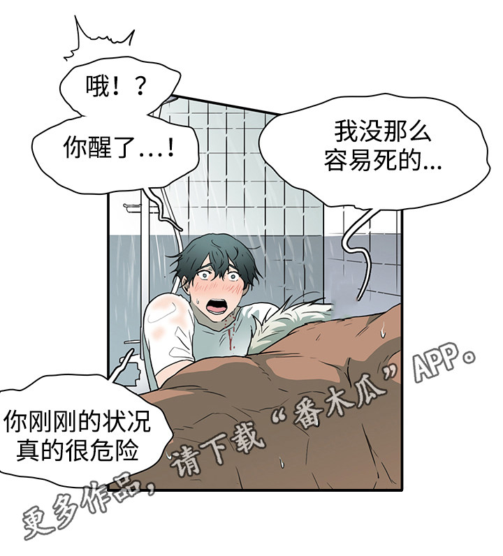 第44章：苏醒2