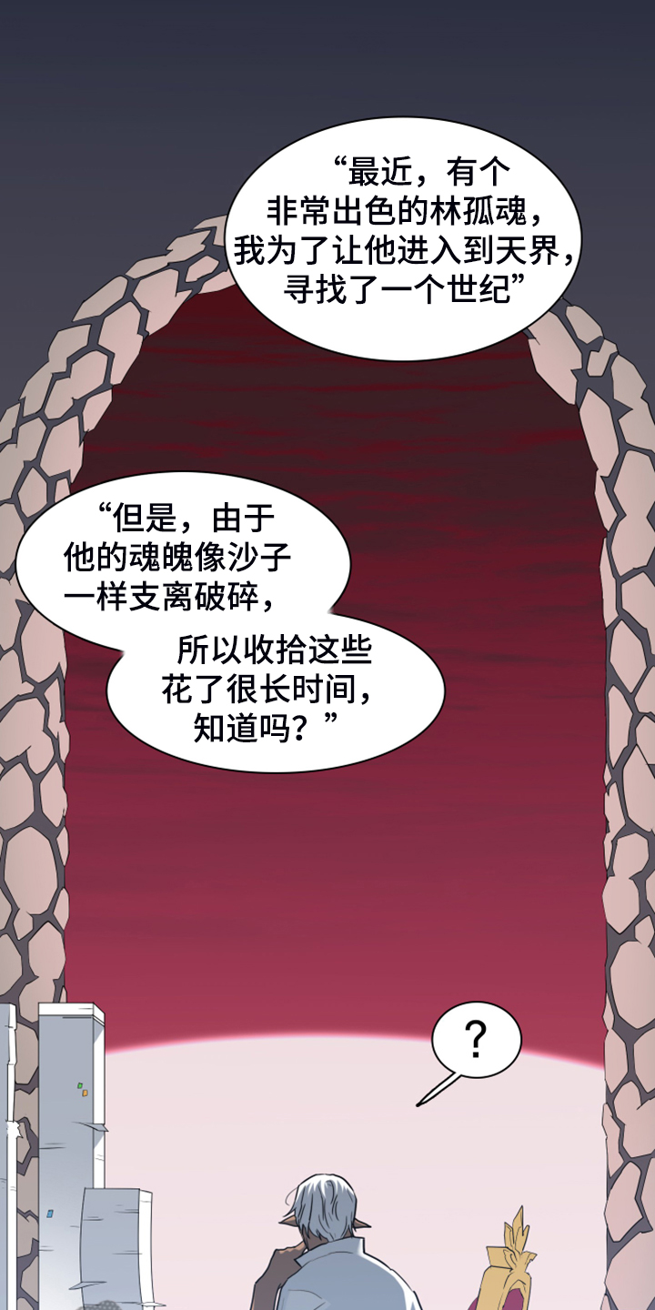 第249章：【完结】回归的人18
