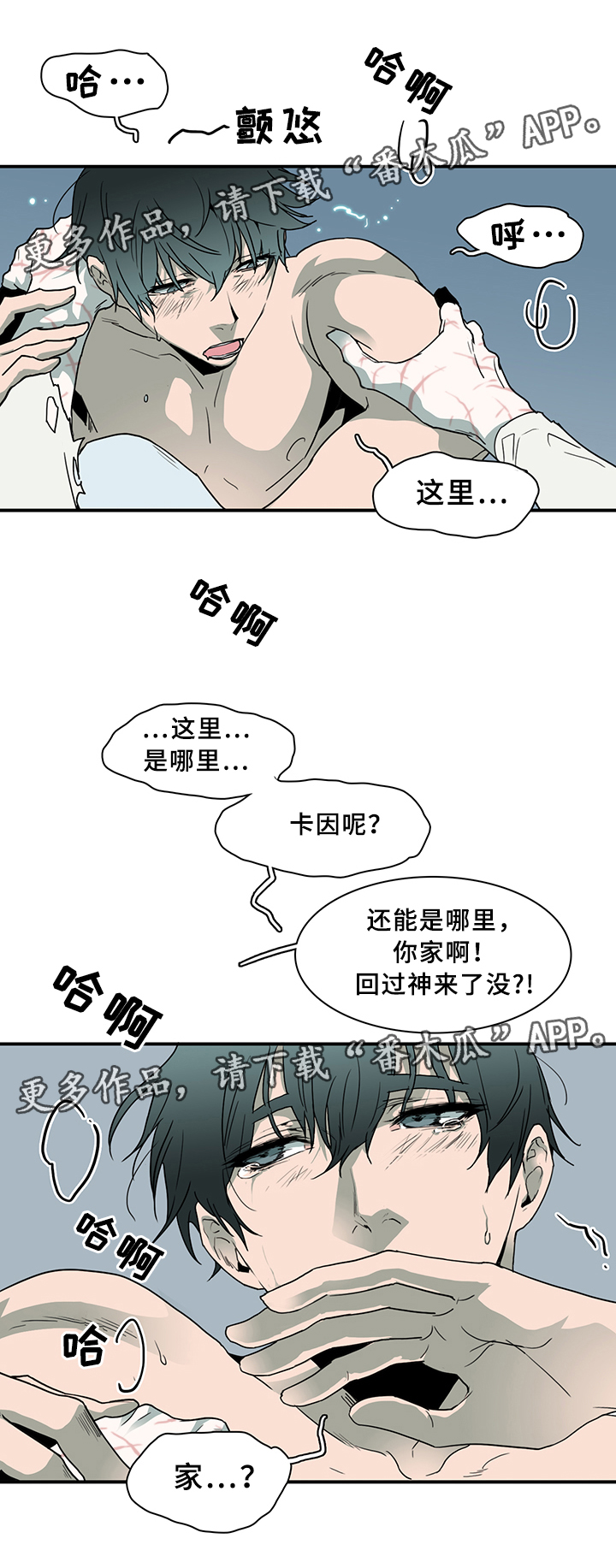 第78章：力量20