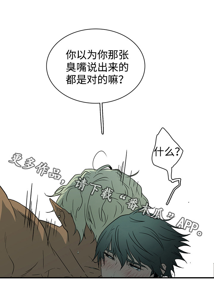 第45章：回答问题12
