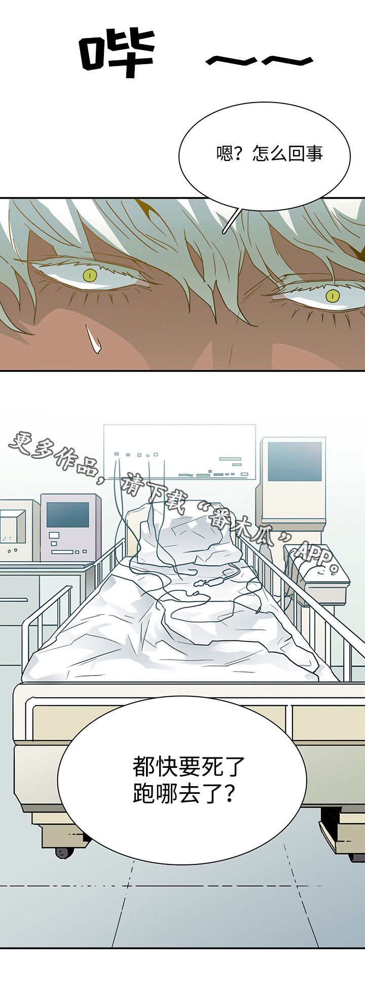 第54章：警告4