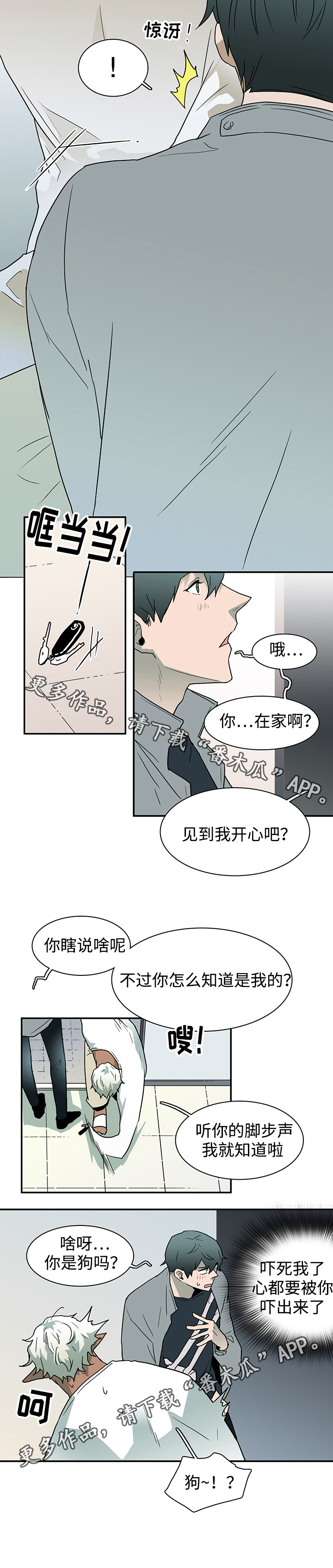 第56章：平静12