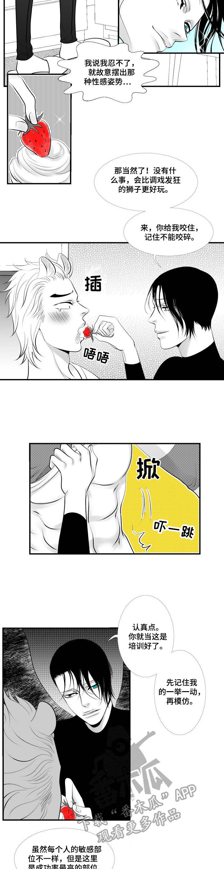 第11章：教学8
