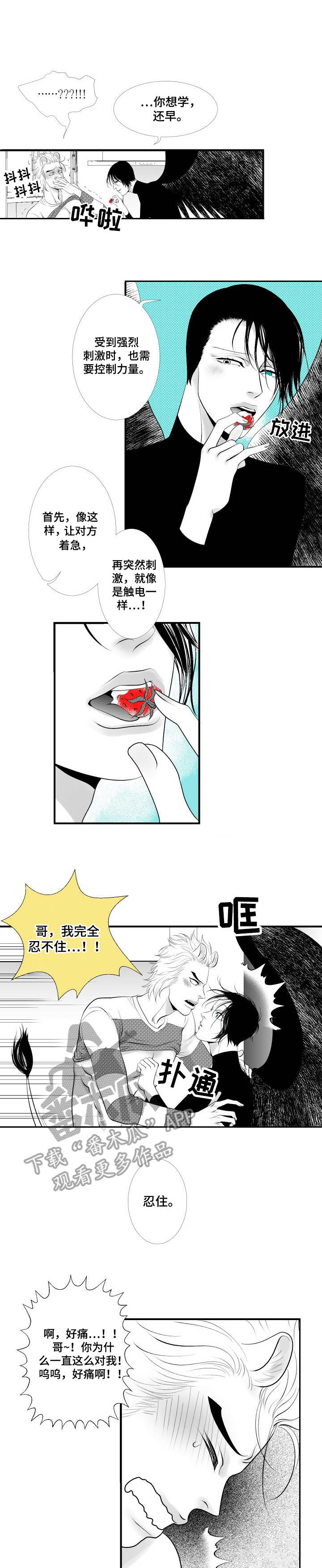 第12章：酒心巧克力0
