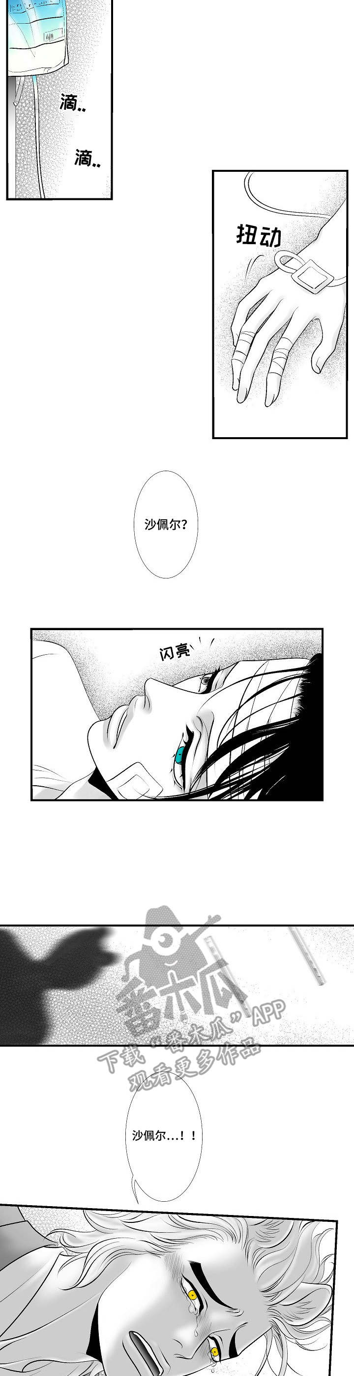 第27章：尘埃落定2