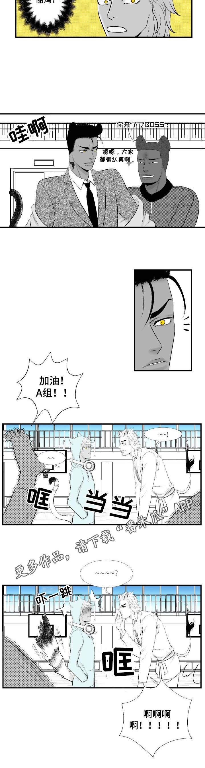 第16章：请教2