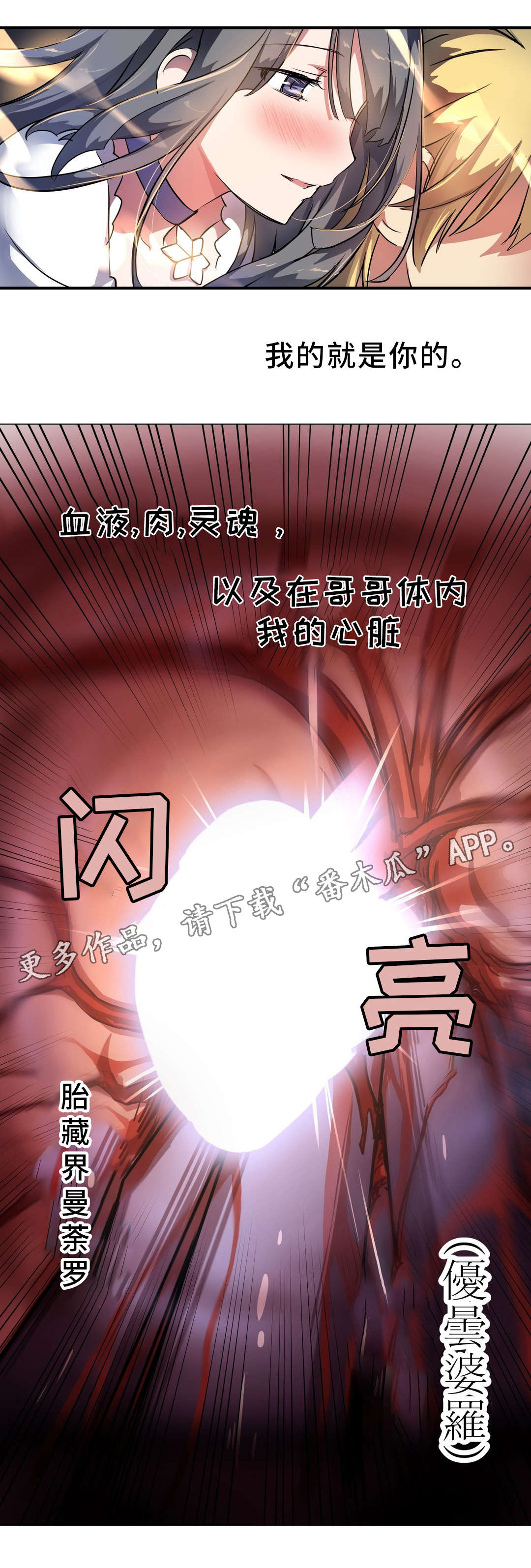第37章：心脏2