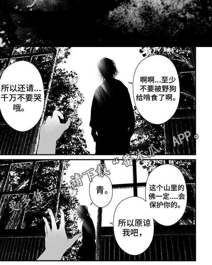 第29章：抓住7