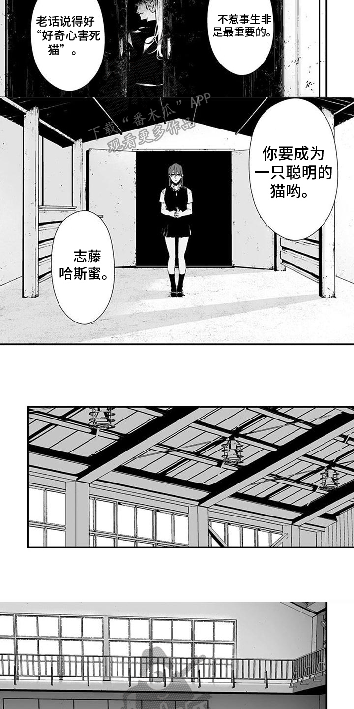 第33章：聪明的猫3