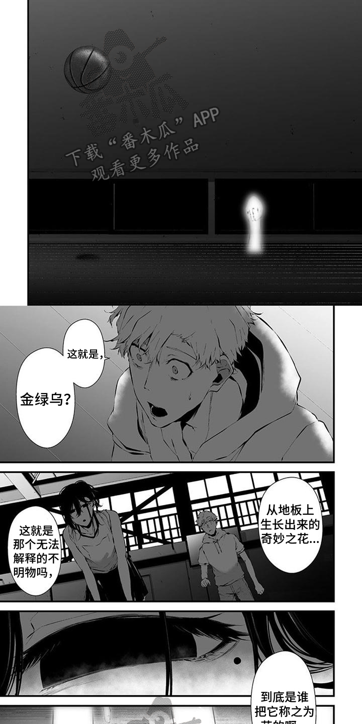 第29章：抓住1