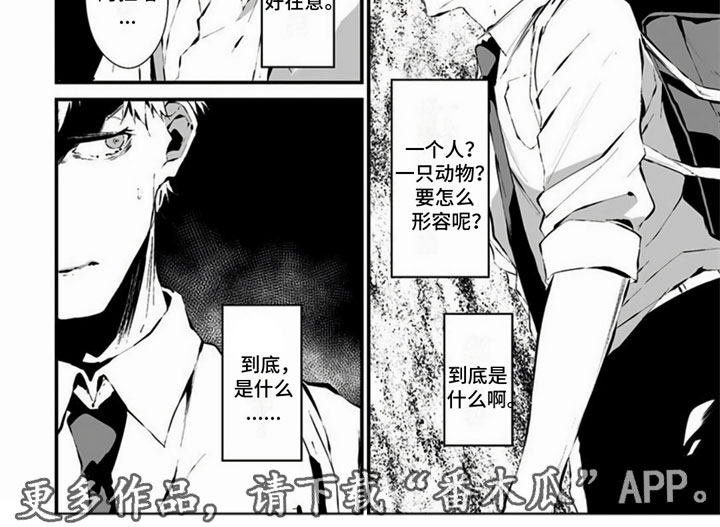 第12章：奇怪7